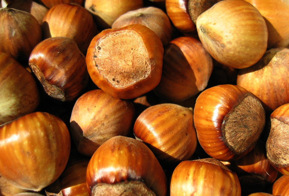 Unshelled Hazelnuts