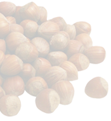 Shelled Raw Hazelnuts